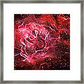Celestial Rose Framed Print