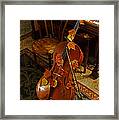 Cello Autumn 1 Framed Print
