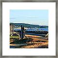 Central Meadow Summer Scenes Framed Print