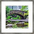 Central Park Nature Oasis Framed Print