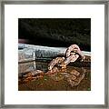 Chained Framed Print
