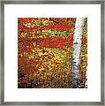 Change Of Season Framed Print