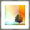 Change Of The Seasons - The Moment When Summer Meets With Fall Framed Print