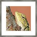 #changeable #lizard's #eye On You Framed Print
