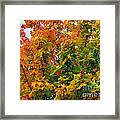 Changing Times Framed Print