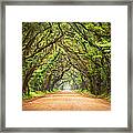 Charleston Sc Edisto Island - Botany Bay Road Framed Print