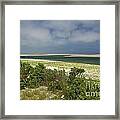 Chatham Beach In Bloom Framed Print