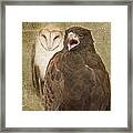 Chatter Framed Print