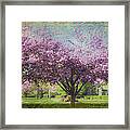 Cheery Cherry Trees - Nostalgic Framed Print