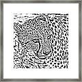 Cheetah 3 Quarters Macro Profile Black And White Digital Art Square Format Framed Print