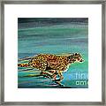 Cheetah Run Framed Print