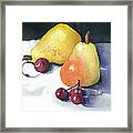 Cherries And Pears Framed Print