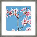 Cherry Blossoms And A Clear Blue Sky Framed Print
