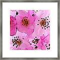 Cherry Blossoms By Sharon Cummings Framed Print