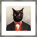 Chic Black Cat Framed Print