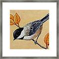 Chickadee And Autumn Leaves Framed Print
