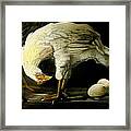Chicken And Eggs Framed Print