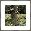 Child Hugging Tree. Framed Print