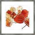 Chinese Lanterns Framed Print