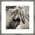 Chippewa Indian Dancer Framed Print
