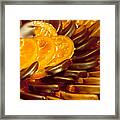 Chocolate Covered Orange Slices Framed Print