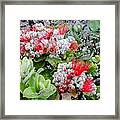 Christmas Berries Framed Print