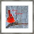 Christmas Red Cardinal Framed Print