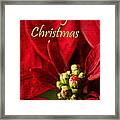 Christmas Poinsettia Framed Print