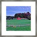 Christmas Tree Farm Framed Print