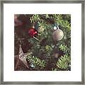 Christmas Tree Framed Print