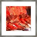 Claping Hands Framed Print