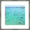 Clear Blue Tropical Water Of A Coral Framed Print