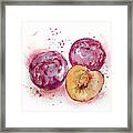 Close Up Of Three Plums Framed Print
