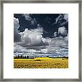 Clouds Over Bright Crops Field Framed Print