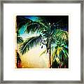 Coconut Gardener Framed Print