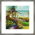 Coconuts By The Beach Framed Print