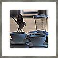Coffee Bird.. Kaffebrenneriet... Oslo Framed Print
