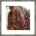 Cold Winter Day 13341 Framed Print