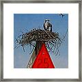 Collaborative Effort Framed Print