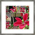 Collage Clematis Framed Print