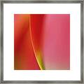Color And Form In Nature Framed Print