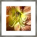 Color Me Just Peachy Framed Print