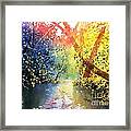 Color Of Trees Framed Print