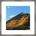 Colorado Gold Framed Print