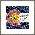 Colorado State Flag With Mountain Textures Framed Print