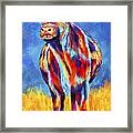 Colorful Angus Cow Framed Print