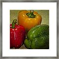 Colorful Bell Peppers Framed Print