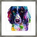 Colorful English Springer Setter Spaniel Dog Portrait Art Framed Print