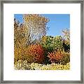 Colorful Fall Framed Print