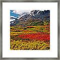 Colorful Land - Alaska Framed Print